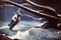 20,000 Leagues Under the Sea - 8 x 10 Color Photo #4