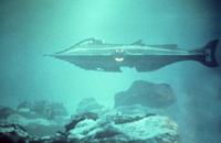 20,000 Leagues Under the Sea - 8 x 10 Color Photo #6