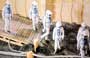2001: A Space Odyssey - 8 x 10 Color Photo #2