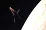 2001: A Space Odyssey - 8 x 10 Color Photo #3