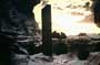 2001: A Space Odyssey - 8 x 10 Color Photo #7