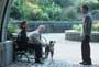 25th Hour - 8 x 10 Color Photo #21