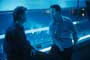 25th Hour - 8 x 10 Color Photo #25