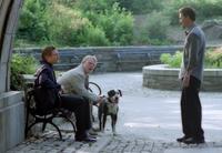 25th Hour - 8 x 10 Color Photo #12