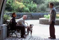 25th Hour - 8 x 10 Color Photo #21