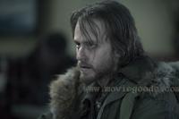 30 Days of Night - 8 x 10 Color Photo #12