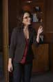 30 Rock - 8 x 10 Color Photo #002