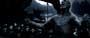 300 - 8 x 10 Color Photo #18