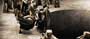 300 - 8 x 10 Color Photo #22