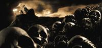 300 - 8 x 10 Color Photo #19