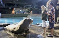 50 First Dates - 8 x 10 Color Photo #6