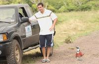 50 First Dates - 8 x 10 Color Photo #9
