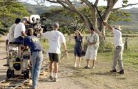 50 First Dates - 8 x 10 Color Photo #26