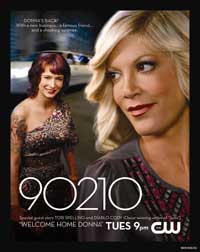90210 (TV) - 11 x 17 TV Poster - Style J