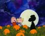 A Boy Named Charlie Brown - 8 x 10 Color Photo #1