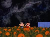 A Boy Named Charlie Brown - 8 x 10 Color Photo #2
