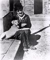 A Dog's Life - 8 x 10 B&W Photo #1