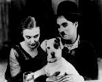 A Dog's Life - 8 x 10 B&W Photo #5