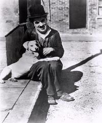 A Dog's Life - 8 x 10 B&W Photo #1