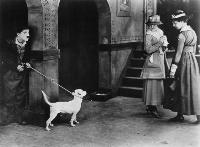 A Dog's Life - 8 x 10 B&W Photo #2