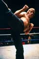 Force of One - 8 x 10 Color Photo #3