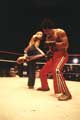 Force of One - 8 x 10 Color Photo #4