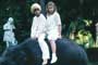 A Little Princess - 8 x 10 Color Photo #15