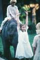 A Little Princess - 8 x 10 Color Photo #16