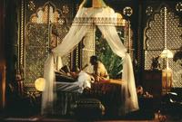 A Little Princess - 8 x 10 Color Photo #2