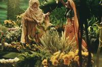 A Little Princess - 8 x 10 Color Photo #8