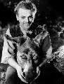 A Midsummer Night's Dream - 8 x 10 B&W Photo #3