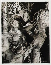 A Midsummer Night's Dream - 8 x 10 B&W Photo #1