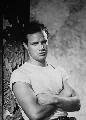 A Streetcar Named Desire - 8 x 10 B&W Photo #7