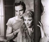 A Streetcar Named Desire - 8 x 10 B&W Photo #6