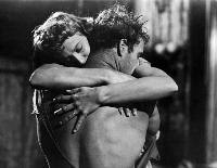 A Streetcar Named Desire - 8 x 10 B&W Photo #11