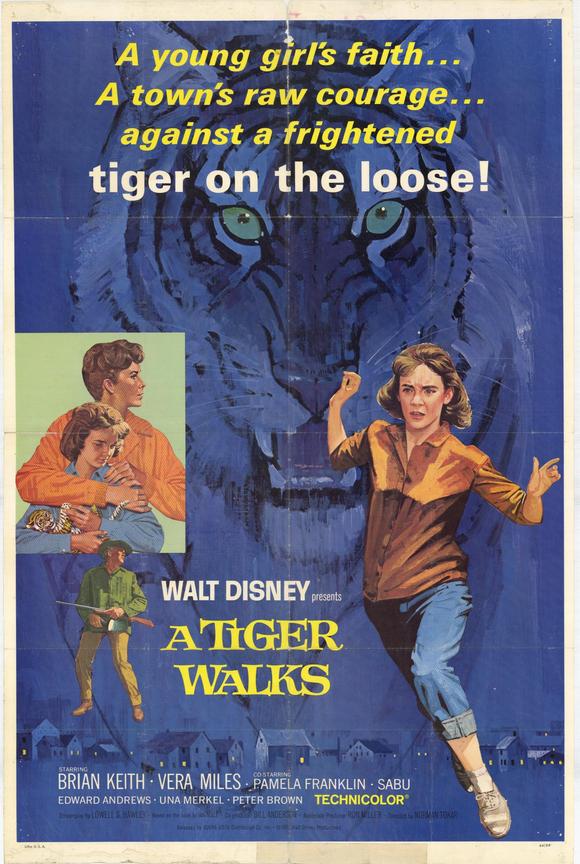 A Tiger Walks movie