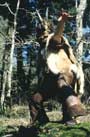 Abducted II: The Reunion - 8 x 10 Color Photo #5