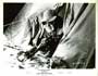 The Abominable Snowman - 8 x 10 B&W Photo #4