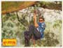 Ace Ventura: When Nature Calls - 8 x 10 Color Photo #8