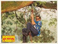 Ace Ventura: When Nature Calls - 8 x 10 Color Photo #8