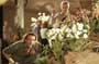 Adaptation - 8 x 10 Color Photo #12