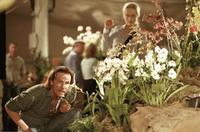Adaptation - 8 x 10 Color Photo #12