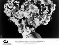 The Adventures of Priscilla, Queen of the Desert - 8 x 10 B&W Photo #1