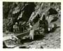 African Treasure - 8 x 10 B&W Photo #5