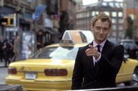 Alfie - 8 x 10 Color Photo #1