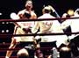Ali - 8 x 10 Color Photo #9