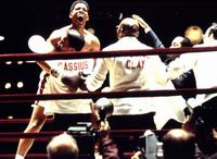 Ali - 8 x 10 Color Photo #9