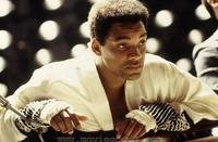 Ali - 8 x 10 Color Photo #23