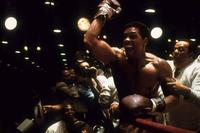 Ali - 8 x 10 Color Photo #13