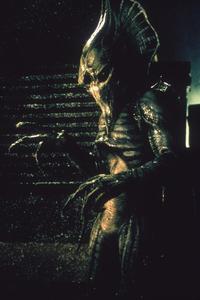 Alien Hunter - 8 x 10 Color Photo #6